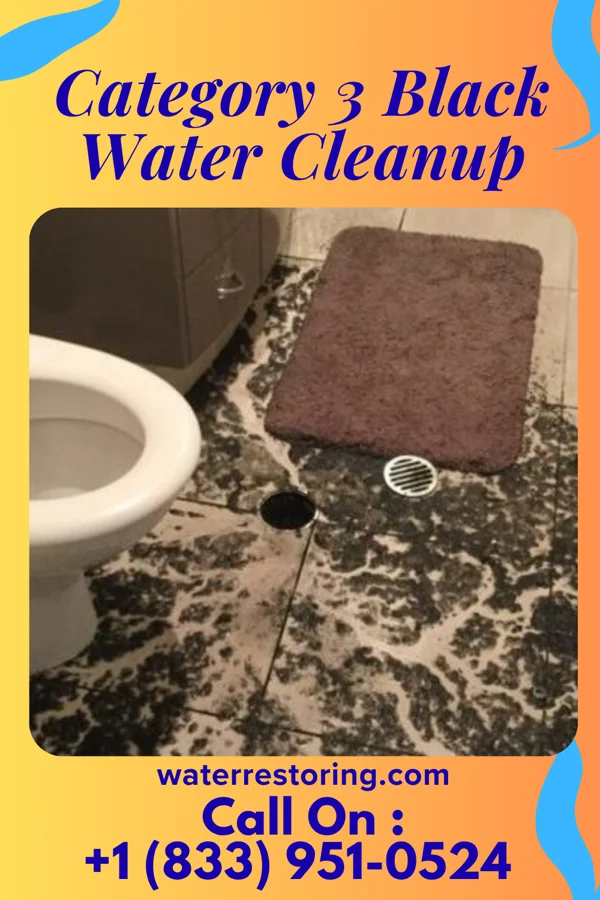 Category 3 Black Water Cleanup in Waveland, MS