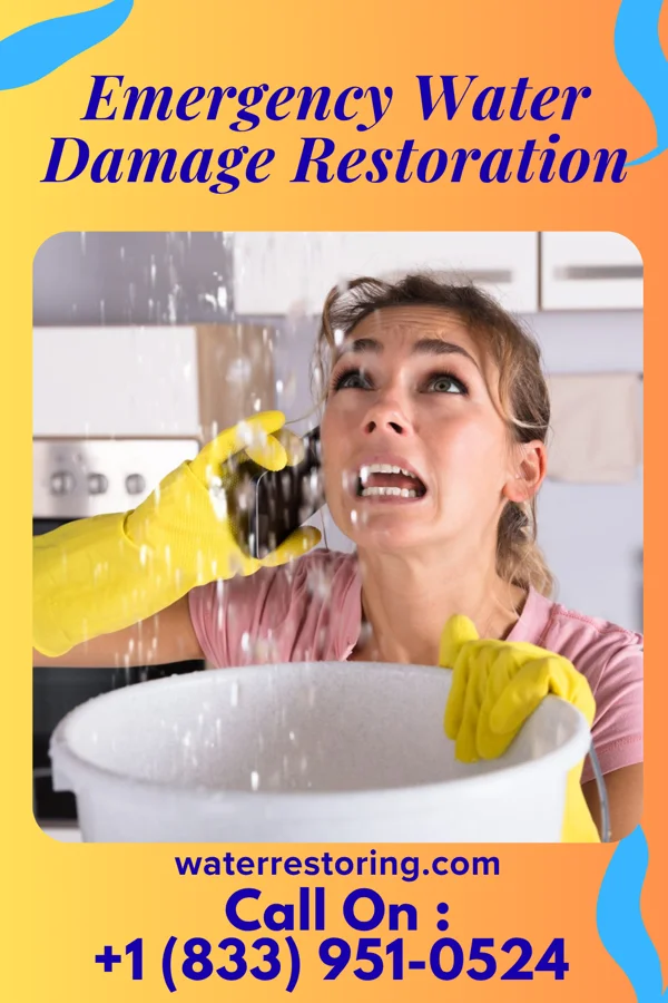 Emergency Water Damage Restoration in Waveland, MS