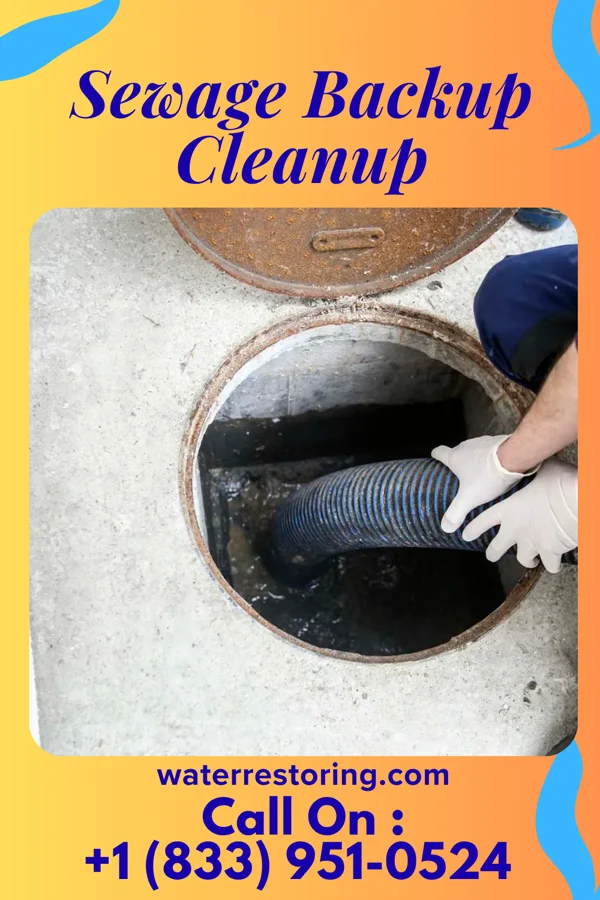 Sewage Backup Cleanup in Waveland, MS