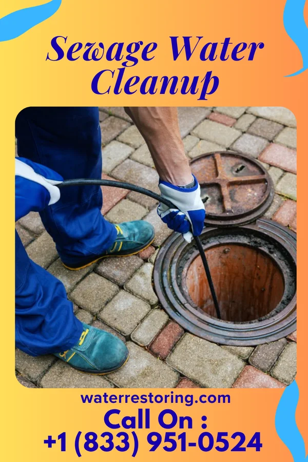 Sewage Water Cleanup in Waveland, MS