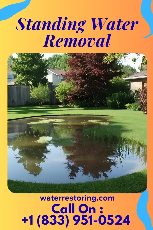 Standing Water Removal in Waveland, MS